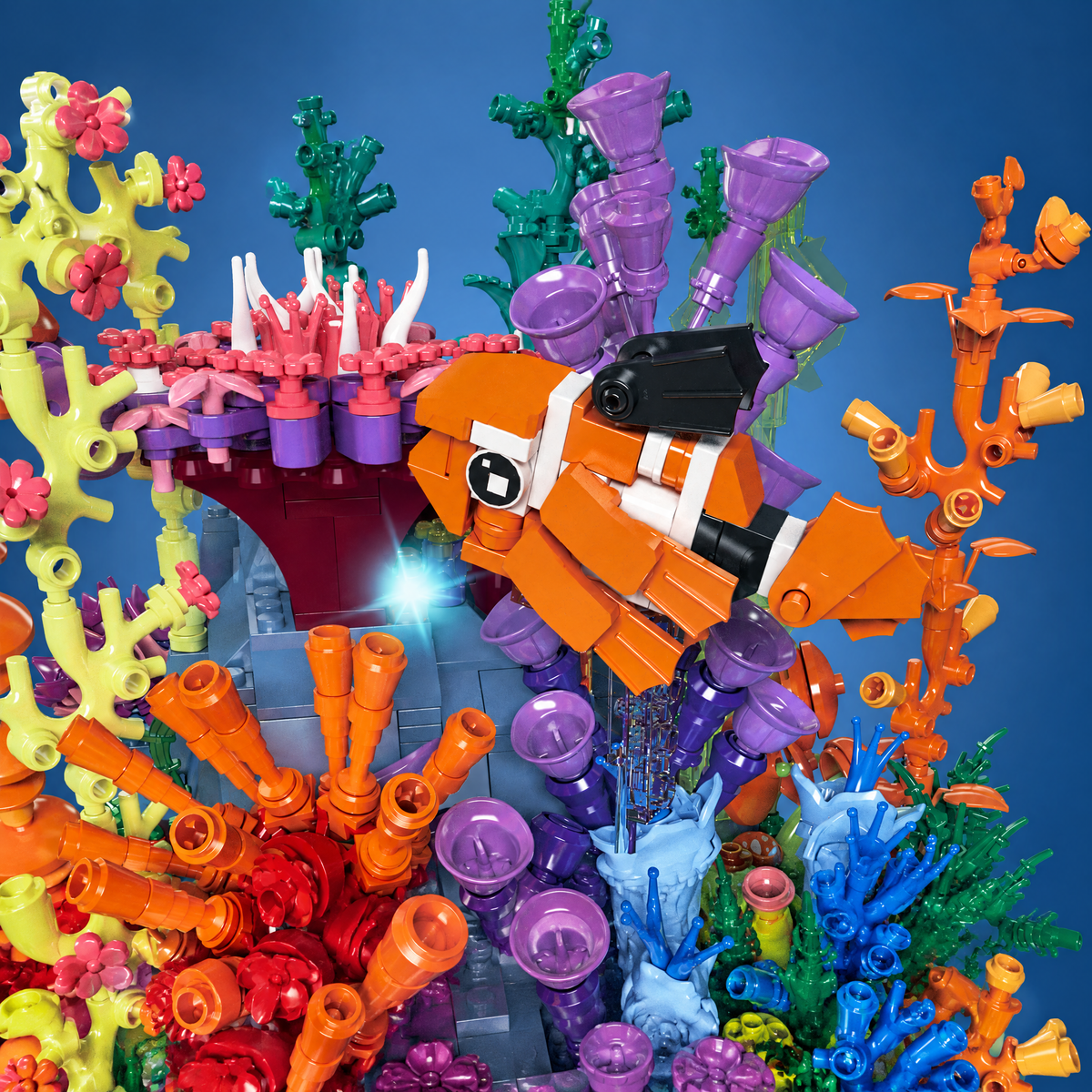 Light-Up Coral Reef Aquarium